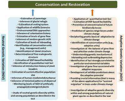 Neutral and adaptive genetic diversity in plants: An overview